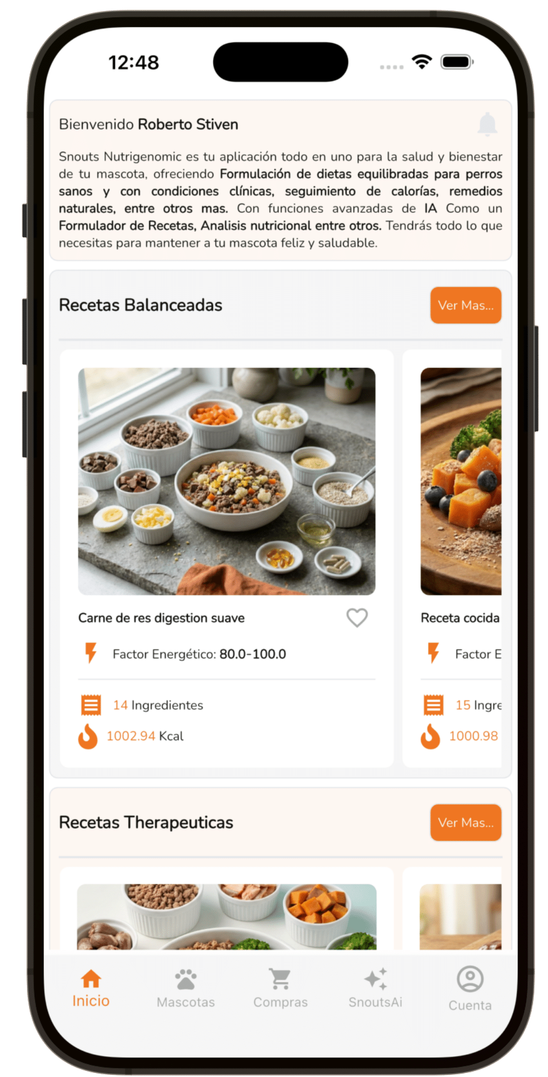 Pantalla principal