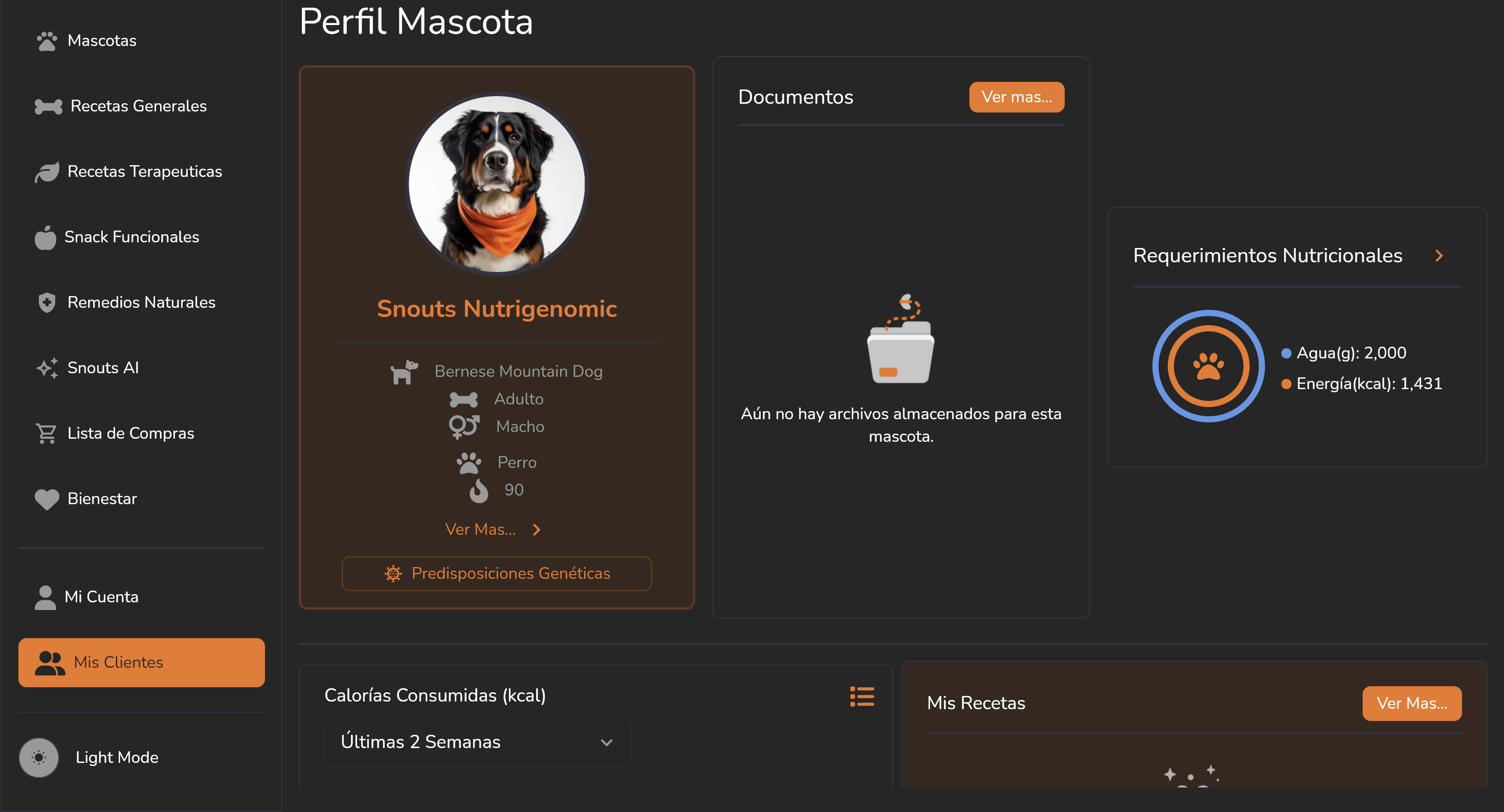 Seguimiento nutricional profesional en Snouts