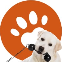 snouts-contactanos-dieta-barf