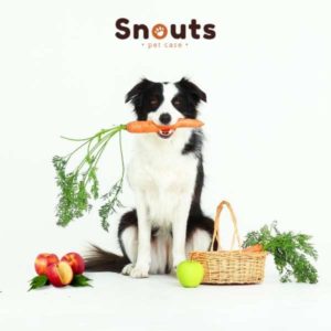 frutas y verduras para perros