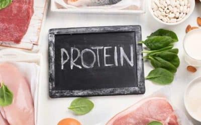 proteina alta en dieta barf