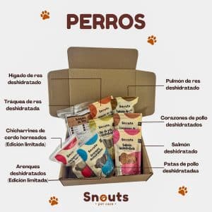 Kit navideño para perros