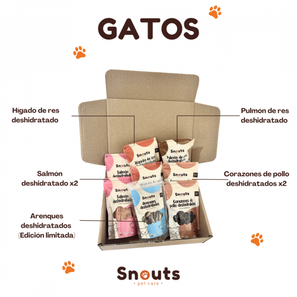 Kit navideño para gatos