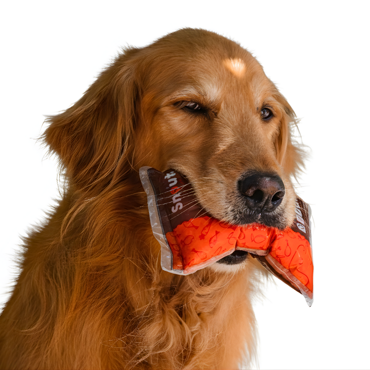 Snouts alimentación natural