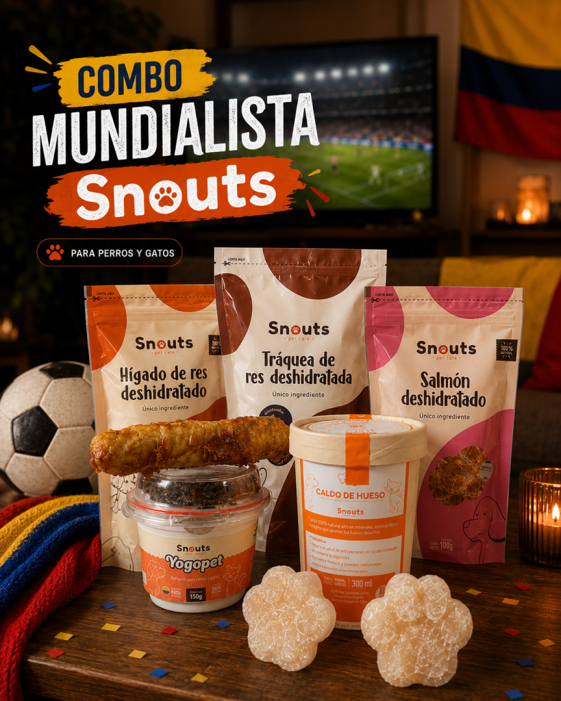 COMBO MUNDIALISTA