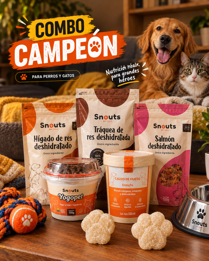 COMBO CAMPEÓN